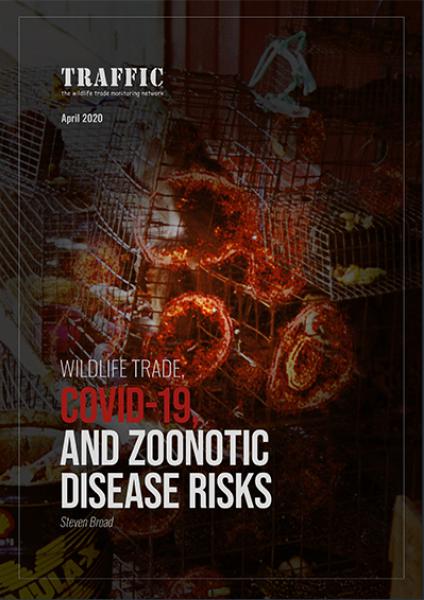 Wildlife Trade, Covid-19, And Zoonotic Disease Risks